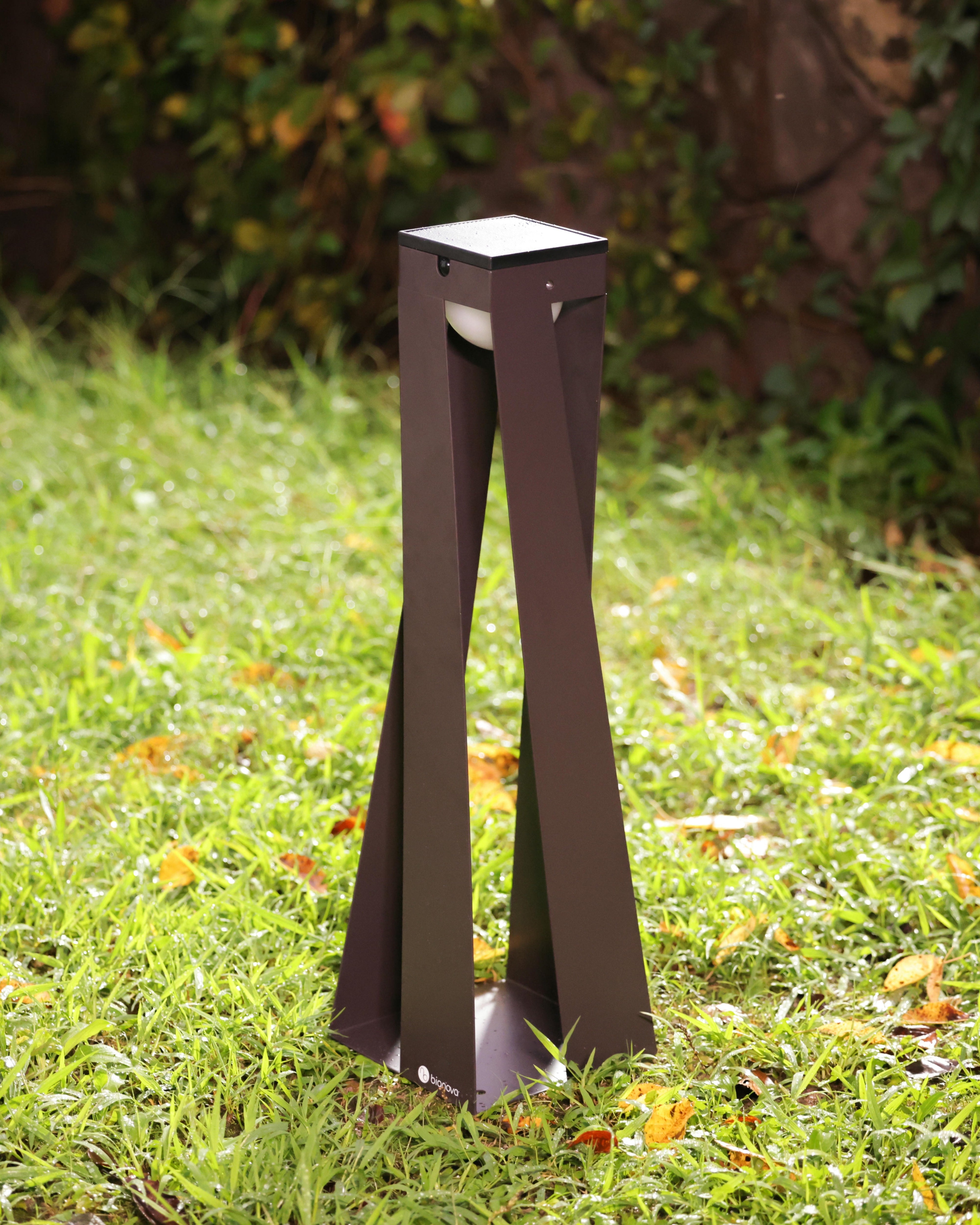 OXALIS PATHWAY LIGHT