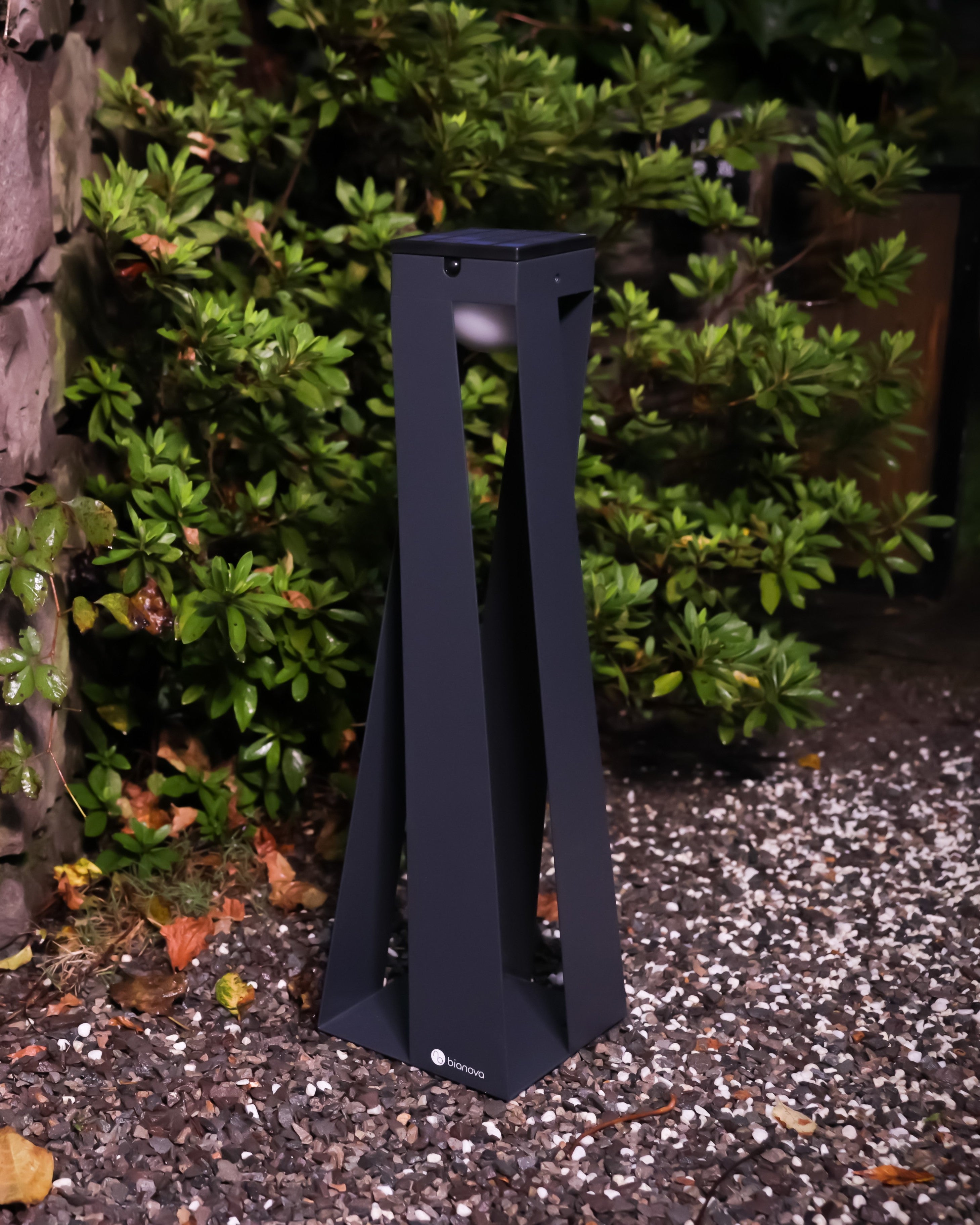 OXALIS PATHWAY LIGHT