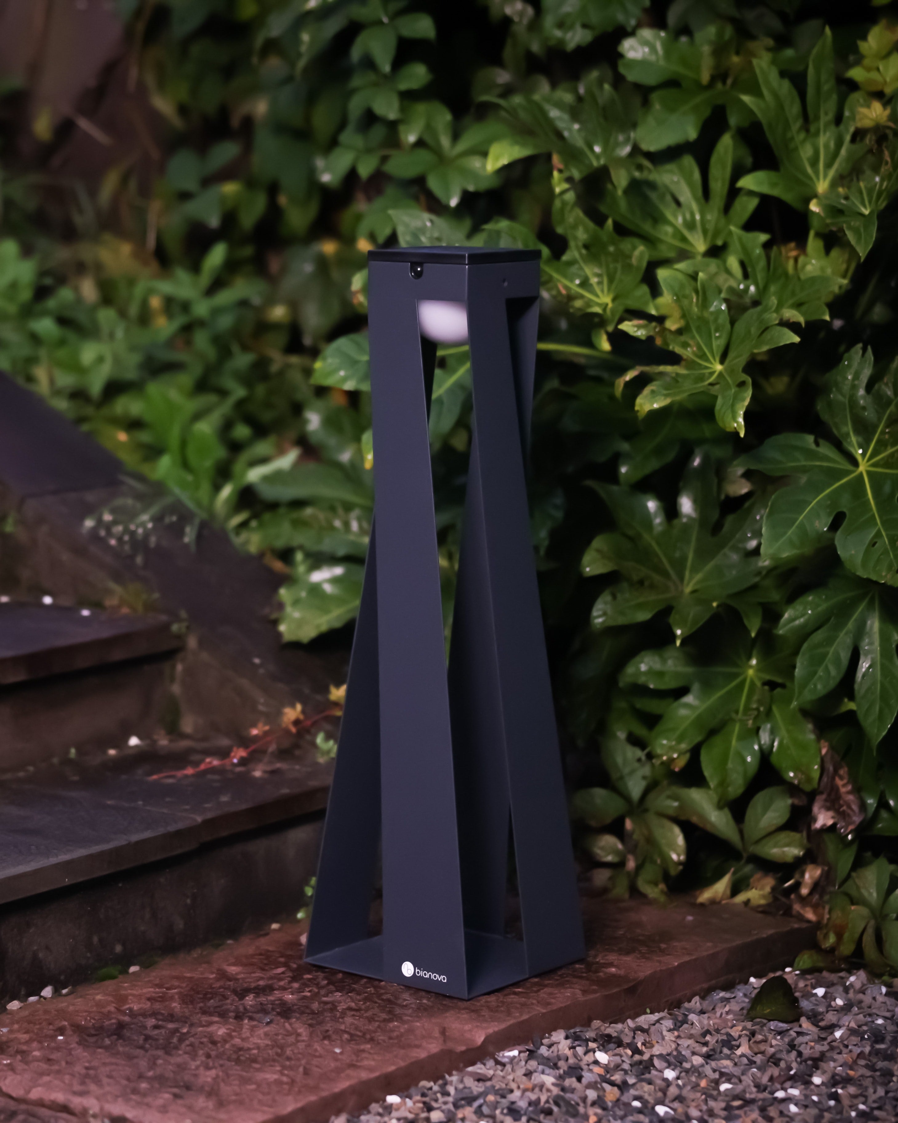 OXALIS PATHWAY LIGHT