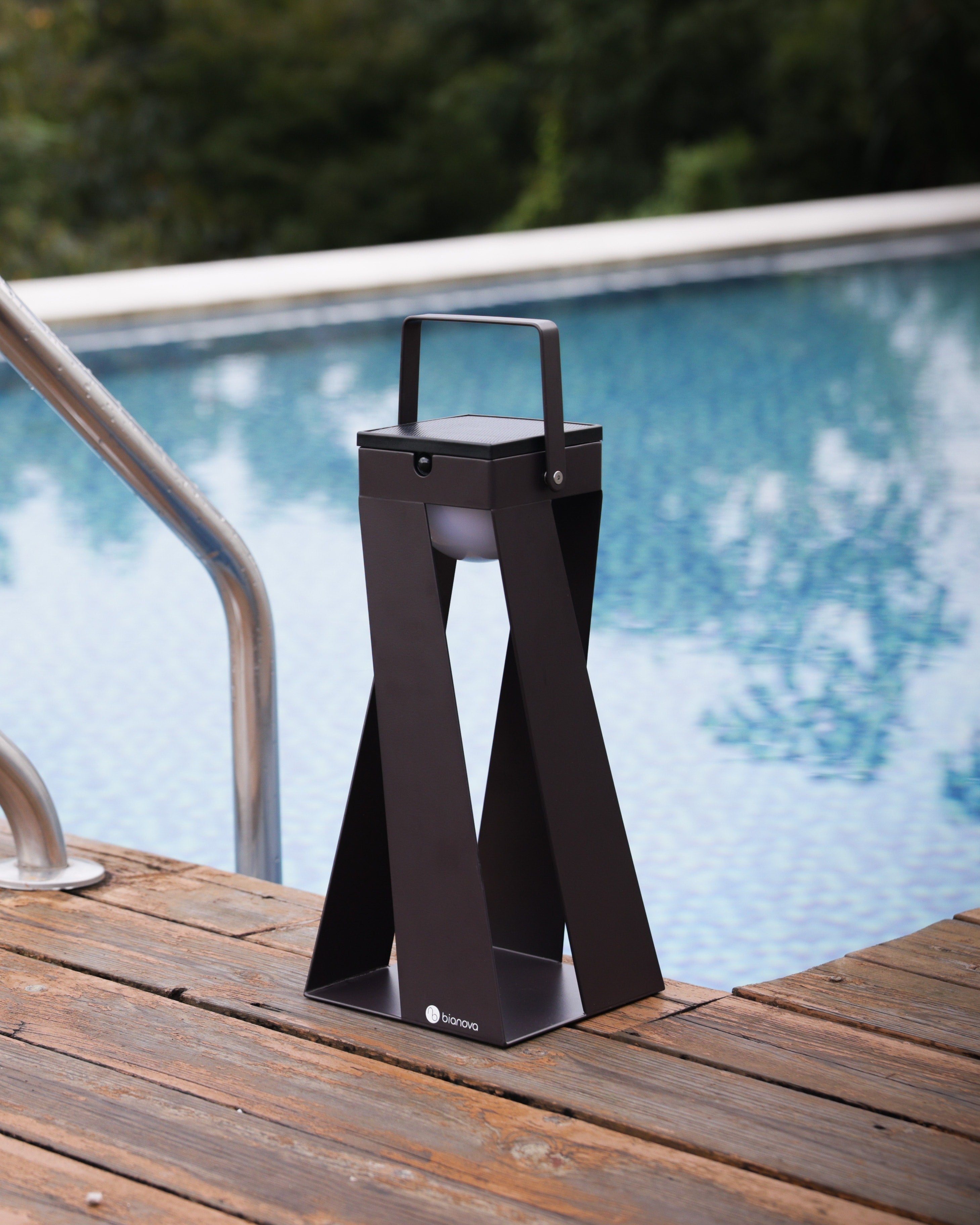 OXALIS LANTERN LIGHT