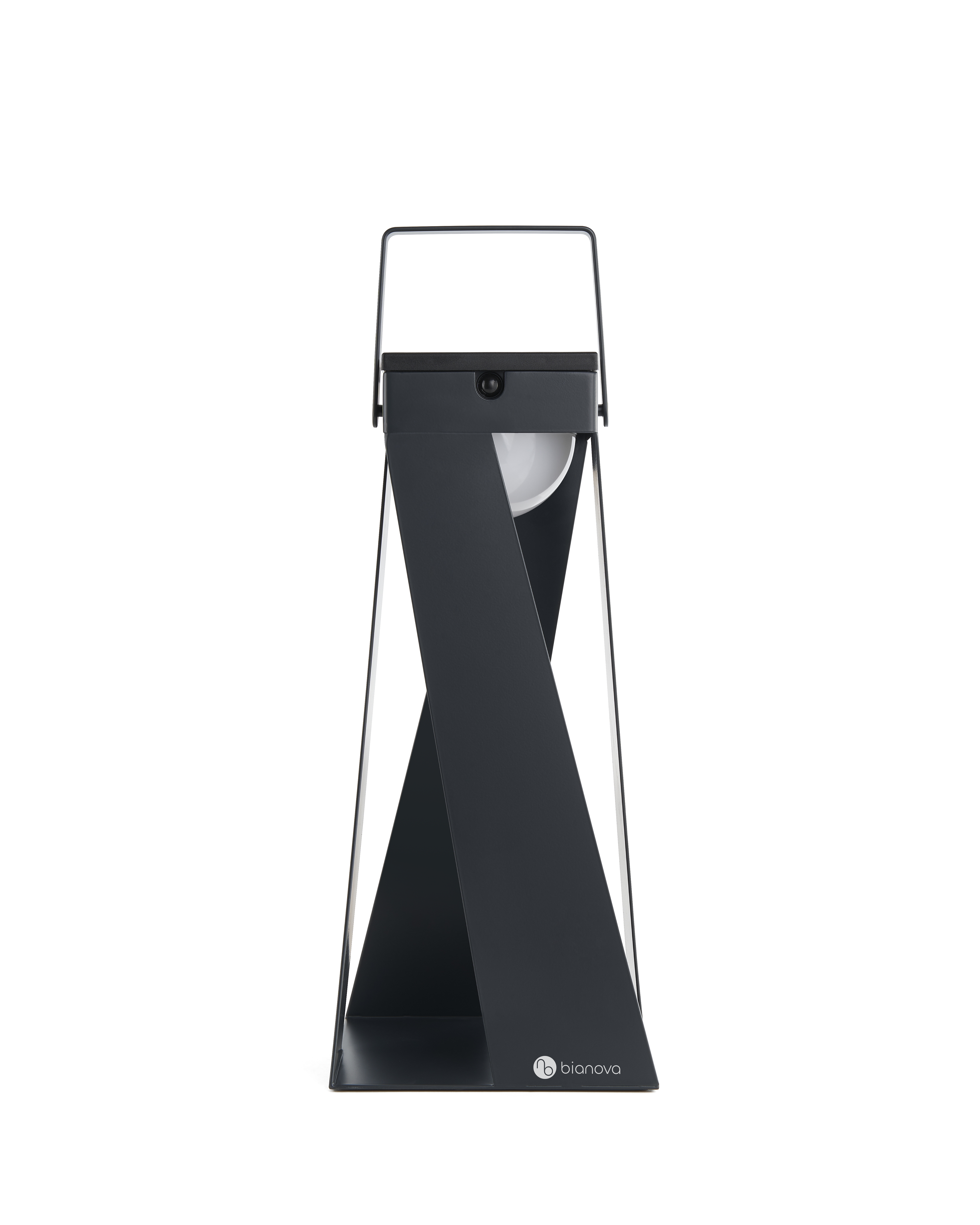 OXALIS LANTERN LIGHT