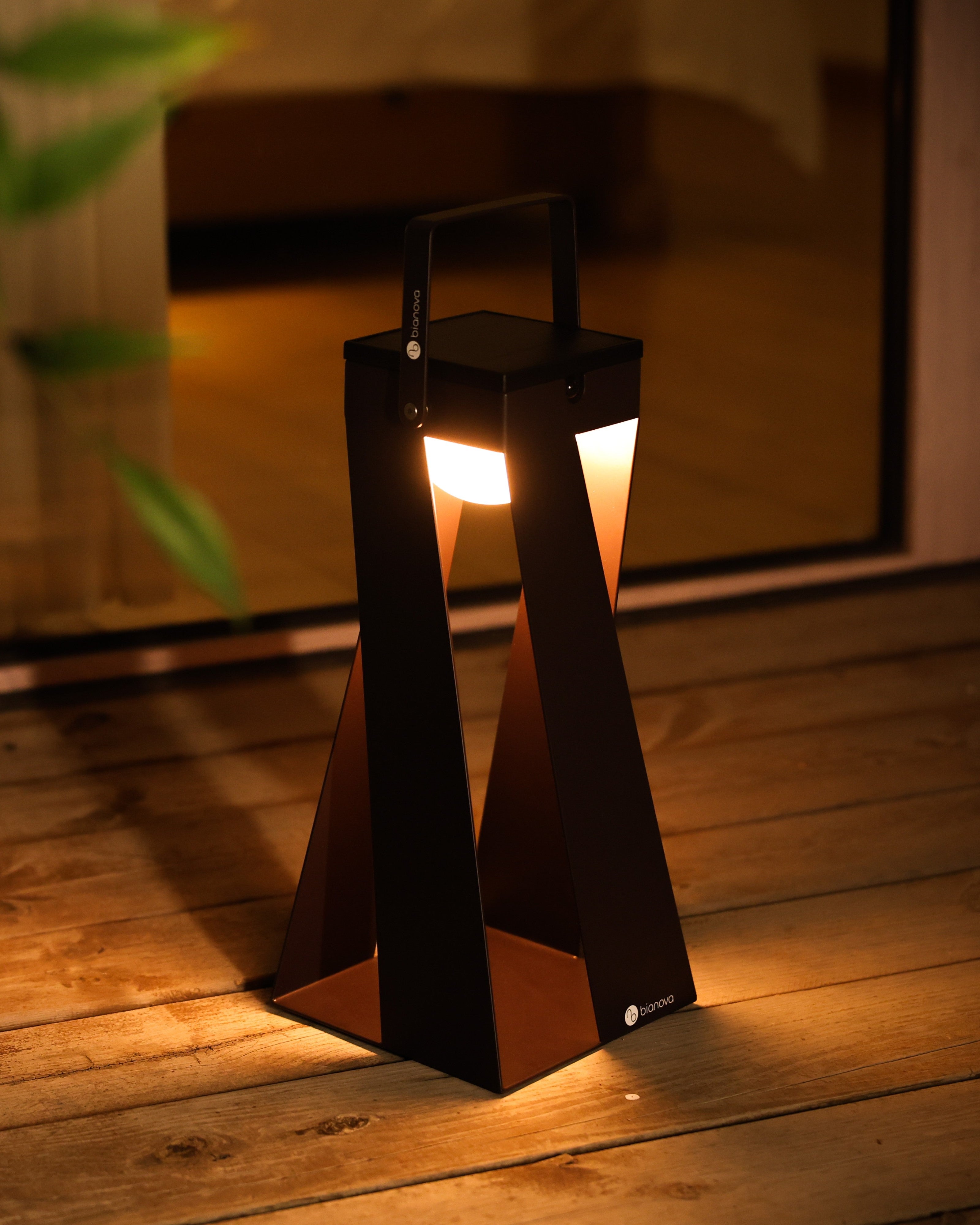 OXALIS LANTERN LIGHT
