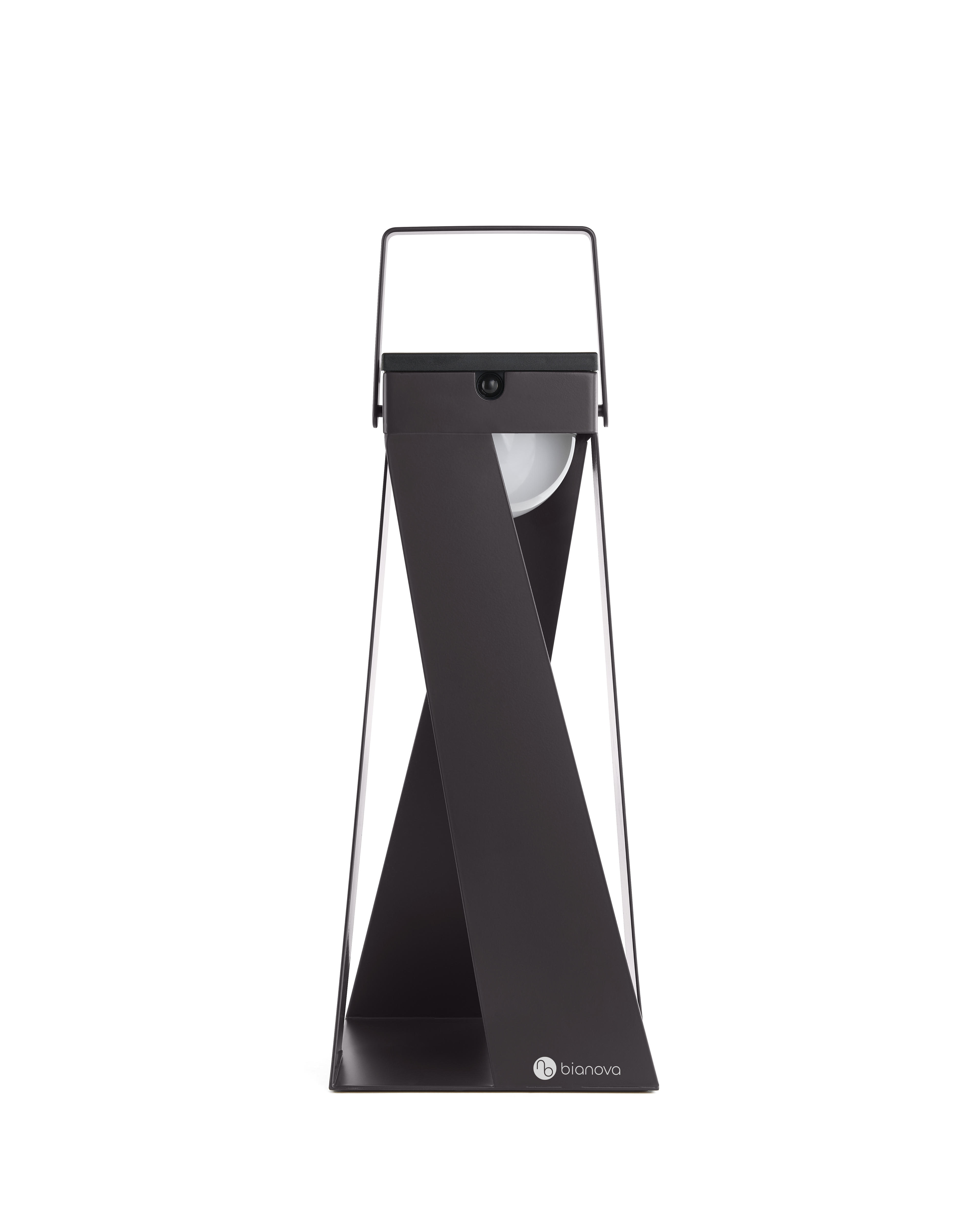 OXALIS LANTERN LIGHT