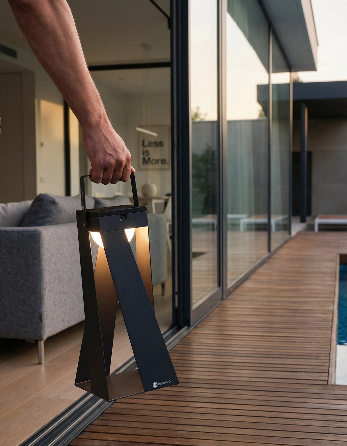 OXALIS LANTERN LIGHT