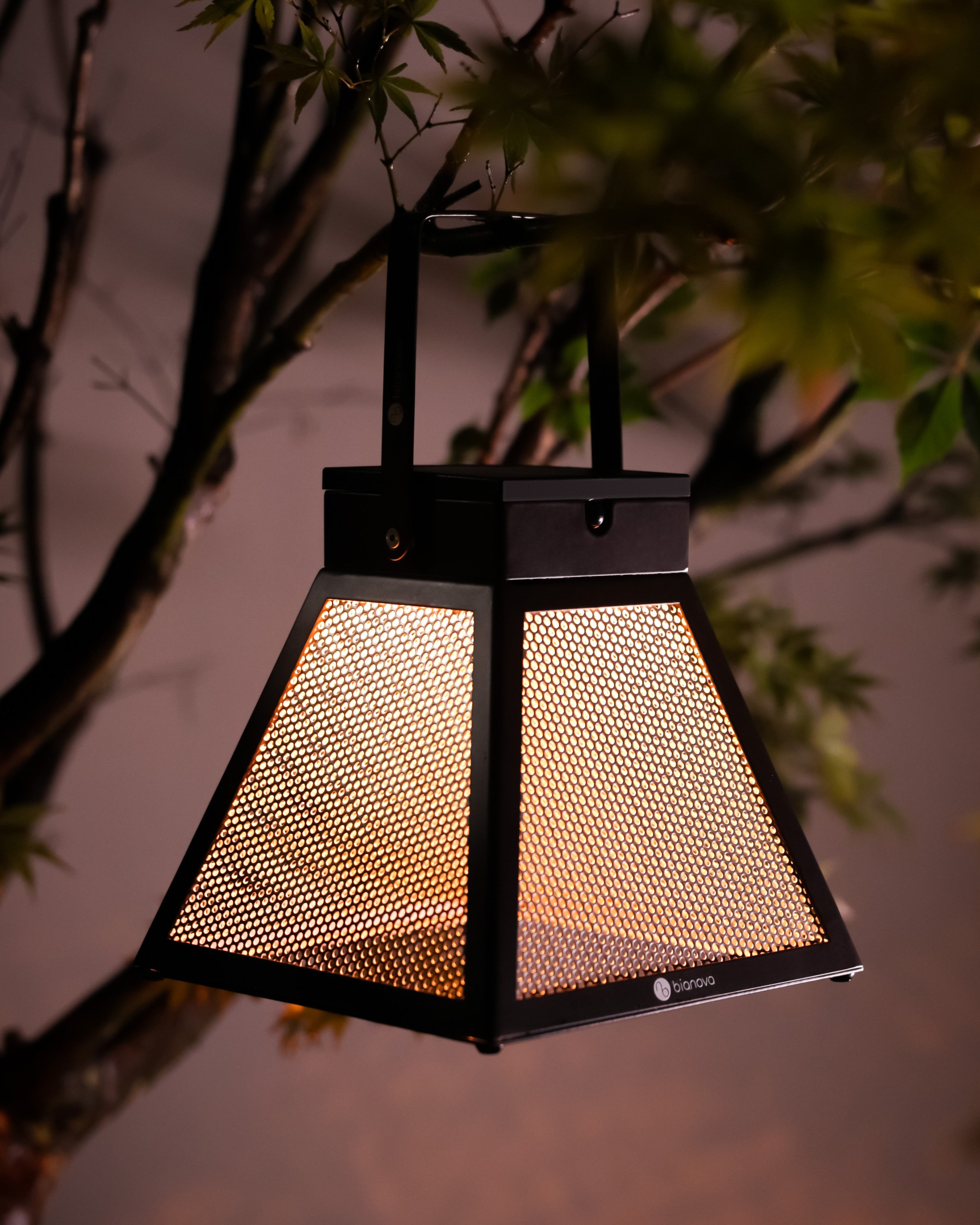 YAXKIN TABLE LIGHT